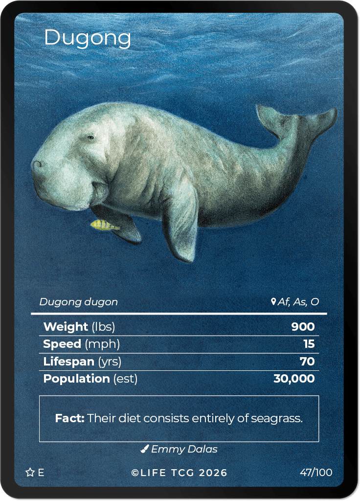 LIFE TCG Mammals Special Edition - Choose Your Card - Holos, Rares, Extended Arts, Full Arts (Extended Art, 47E - Dugong 47/100)