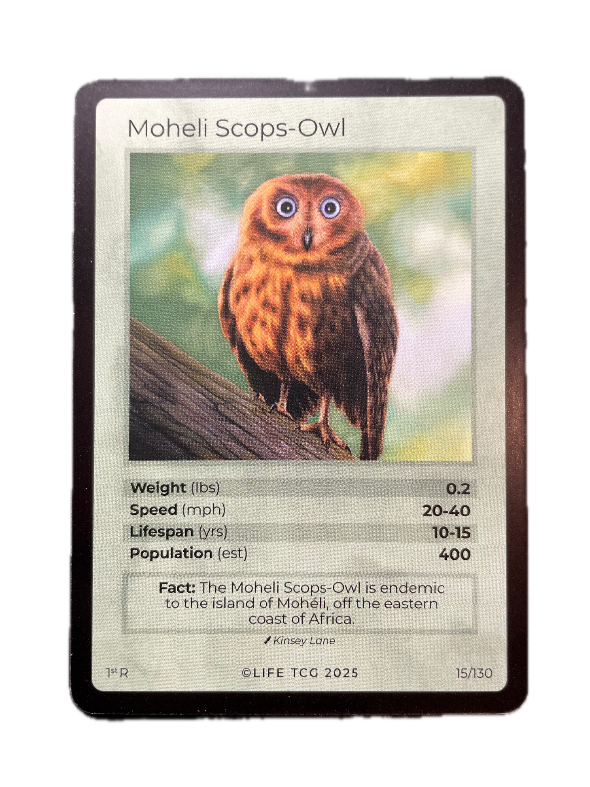 LIFE TCG Birds 1st Edition - Choose Your Card - Holos, Full Arts, Rares (Rare, 15R - Moheli Scops-Owl 15/130)