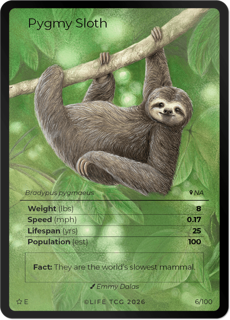 LIFE TCG Mammals Special Edition - Choose Your Card - Holos, Rares, Extended Arts, Full Arts (Extended Art, 6E - Pygmy Three-Toed Sloth 6/100)