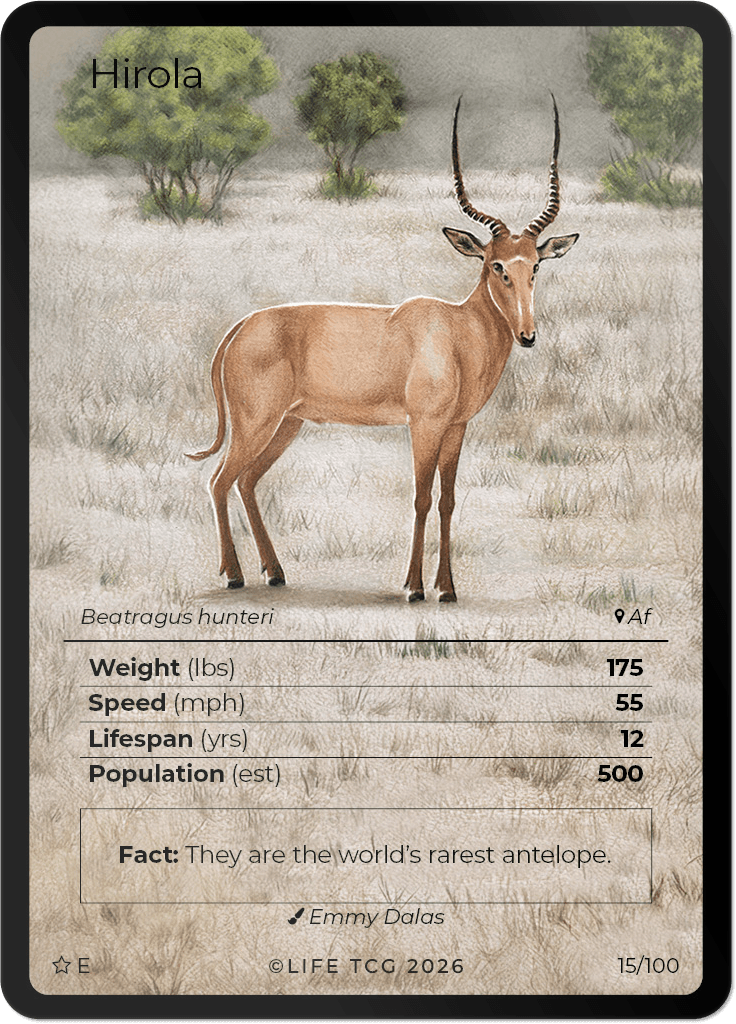 LIFE TCG Mammals Special Edition - Choose Your Card - Holos, Rares, Extended Arts, Full Arts (Extended Art, 15E - Hirola 15/100)