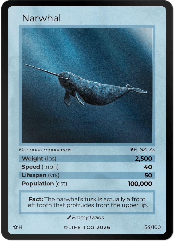 LIFE TCG Mammals Special Edition - Choose Your Card - Holos, Rares, Extended Arts, Full Arts (Holo, 54H - Narwhal 54/100)
