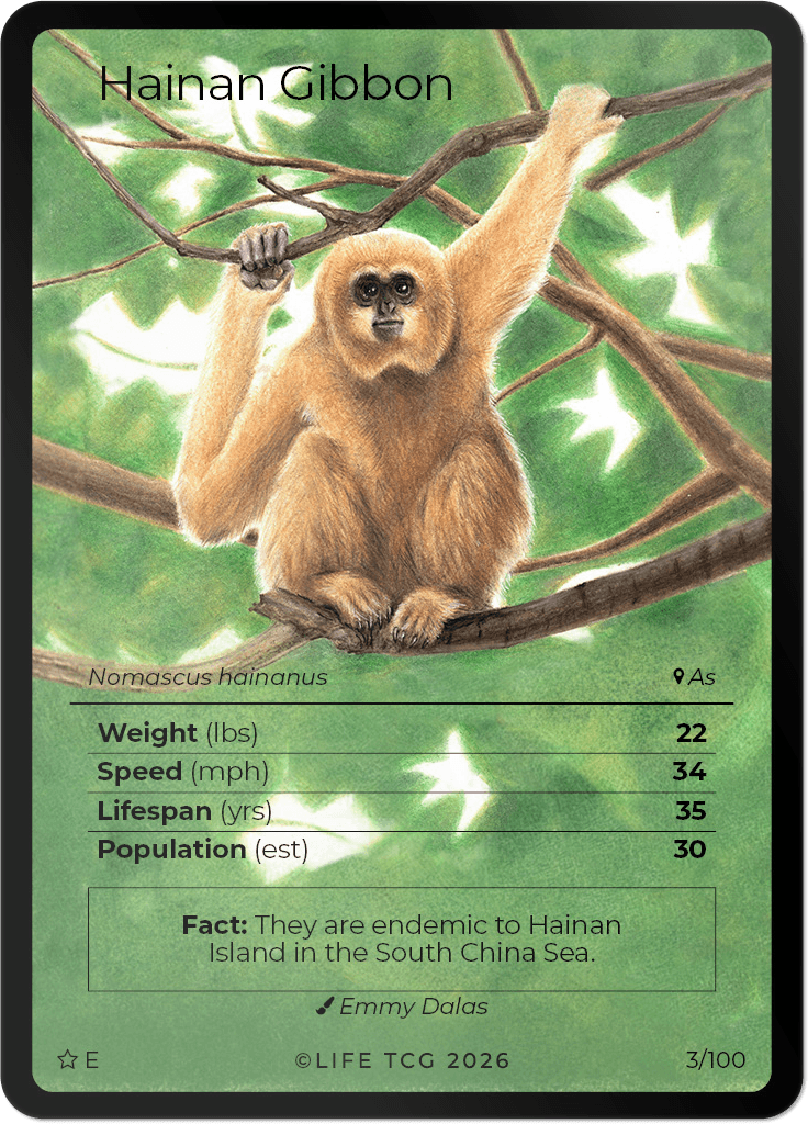LIFE TCG Mammals Special Edition - Choose Your Card - Holos, Rares, Extended Arts, Full Arts (Extended Art, 3E - Hainan Gibbon 3/100)