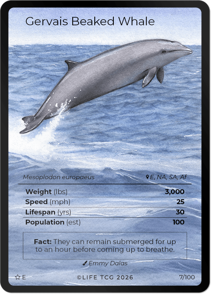 LIFE TCG Mammals Special Edition - Choose Your Card - Holos, Rares, Extended Arts, Full Arts (Extended Art, 7E - Gervais Beaked Whale 7/100)
