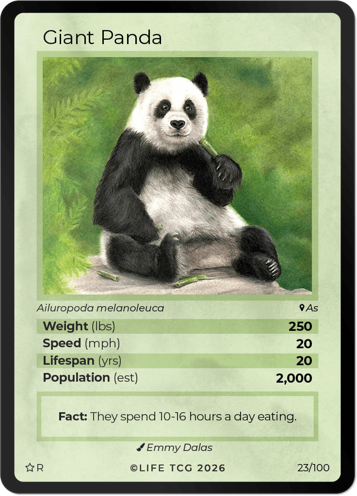 LIFE TCG Mammals Special Edition - Choose Your Card - Holos, Rares, Extended Arts, Full Arts (Rare, 23R - Giant Panda* 23/100)