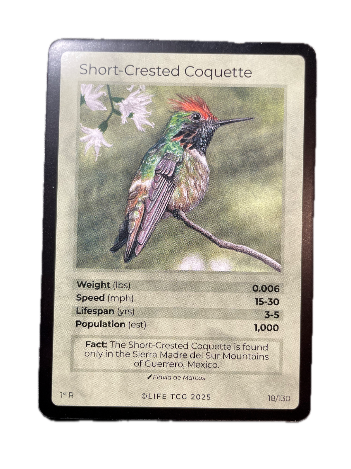 LIFE TCG Birds 1st Edition - Choose Your Card - Holos, Full Arts, Rares (Rare, 18R - Short-Crested Coquette 18/130)