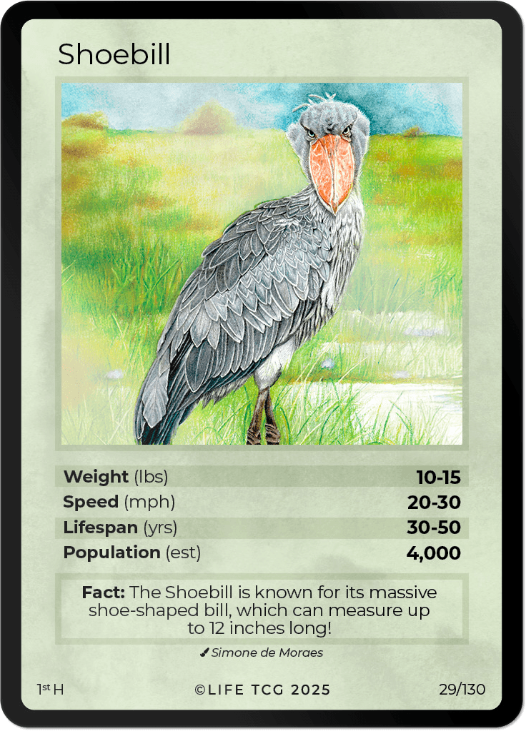 LIFE TCG Birds 1st Edition - Choose Your Card - Holos, Full Arts, Rares (Holo, 29H - Shoebill 29/130)