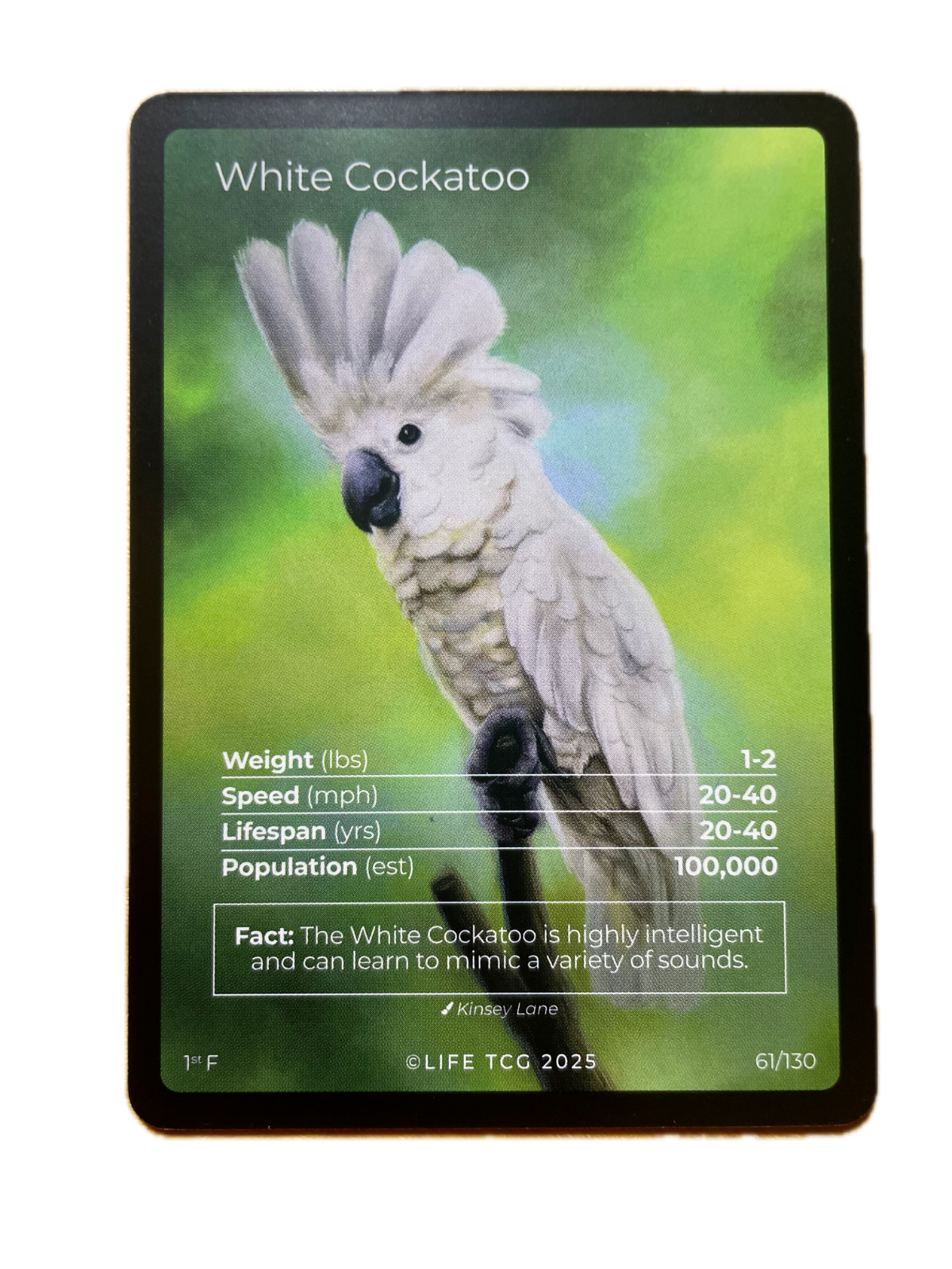 LIFE TCG Birds 1st Edition - Choose Your Card - Holos, Full Arts, Rares (Full Art, 61F - White Cockatoo 61/130)