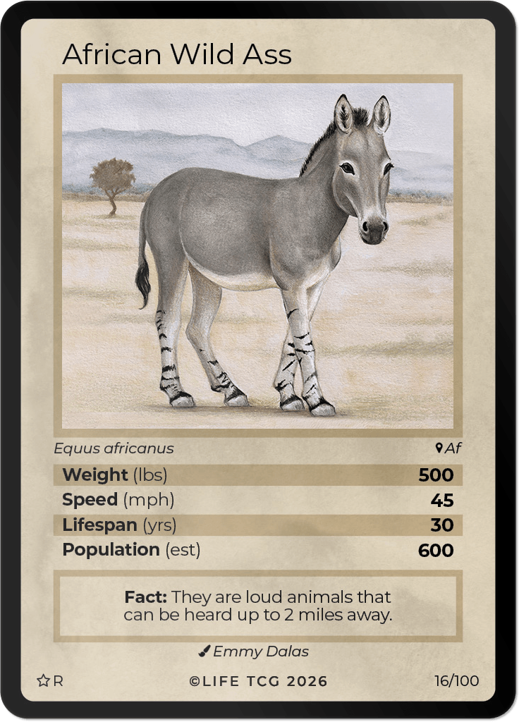LIFE TCG Mammals Special Edition - Choose Your Card - Holos, Rares, Extended Arts, Full Arts (Rare, 16R - African Wild Ass 16/100)