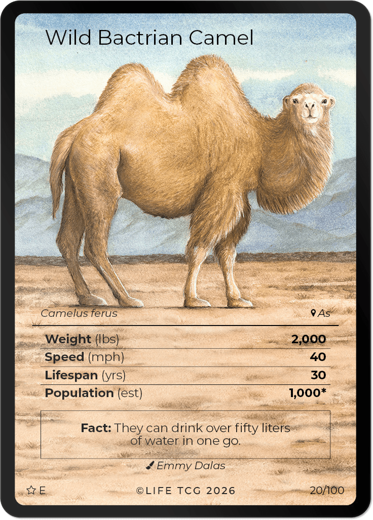 LIFE TCG Mammals Special Edition - Choose Your Card - Holos, Rares, Extended Arts, Full Arts (Extended Art, 20E - Wild Bactrian Camel 20/100)