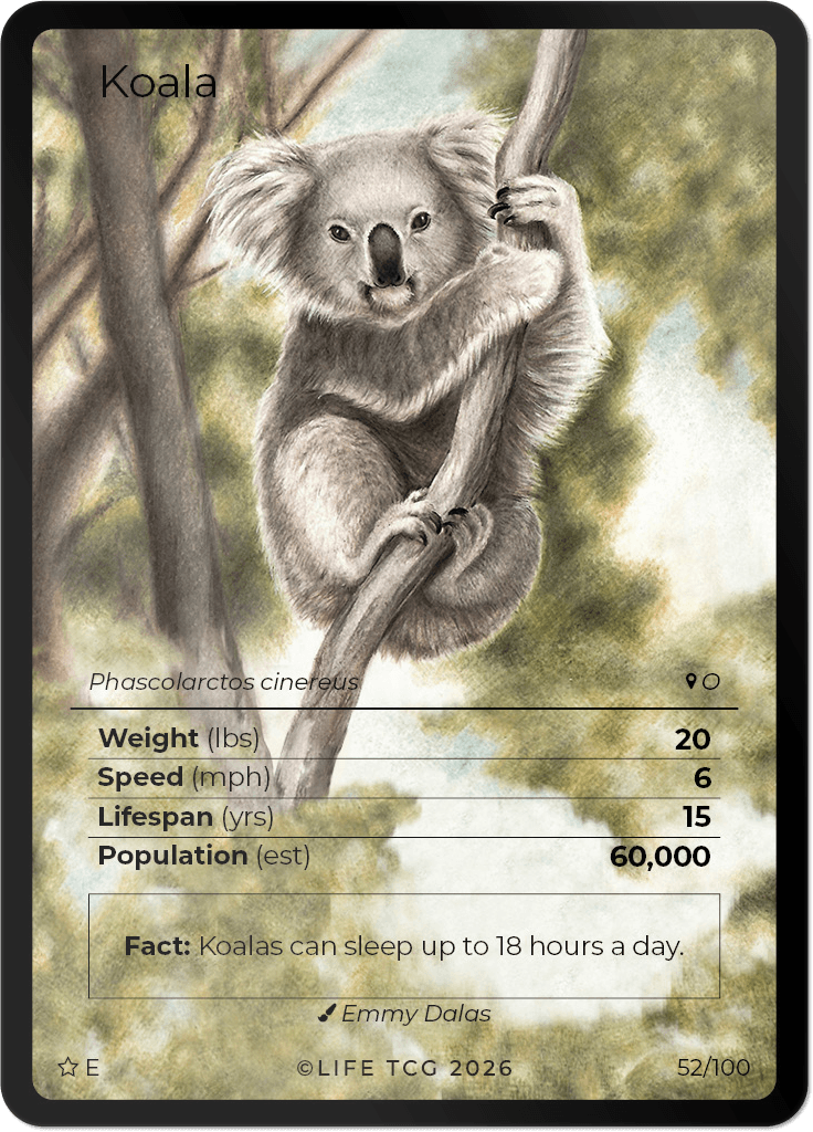 LIFE TCG Mammals Special Edition - Choose Your Card - Holos, Rares, Extended Arts, Full Arts (Extended Art, 52E - Koala 52/100)