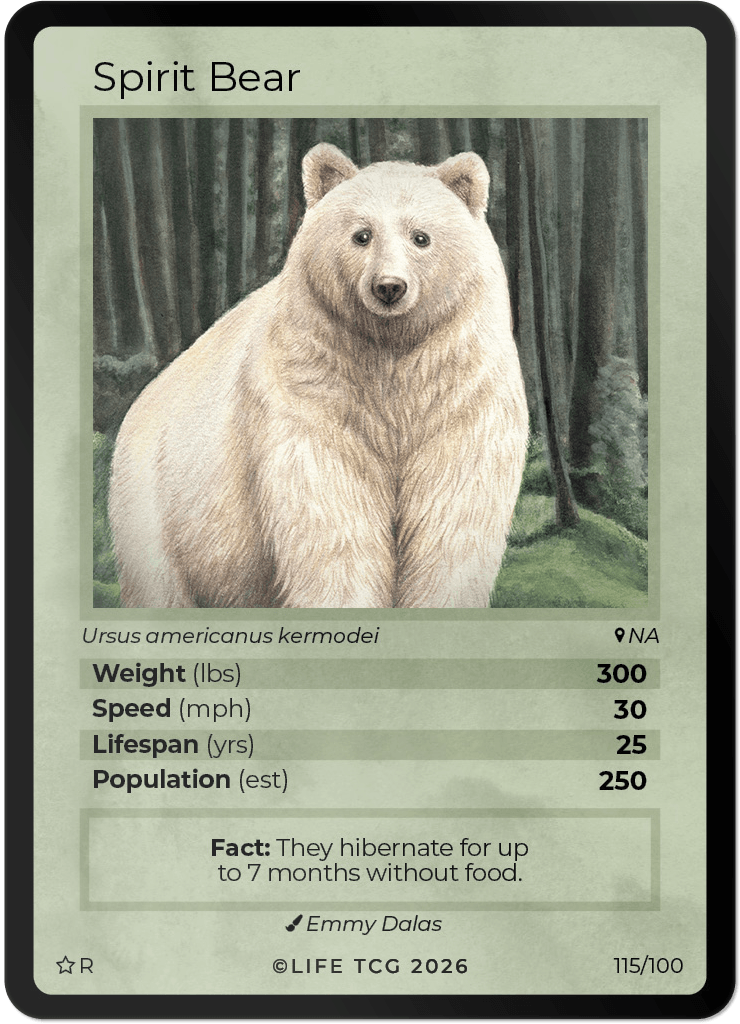 LIFE TCG Mammals Special Edition - Choose Your Card - Holos, Rares, Extended Arts, Full Arts (Rare, 115R - Spirit Bear 115/100)