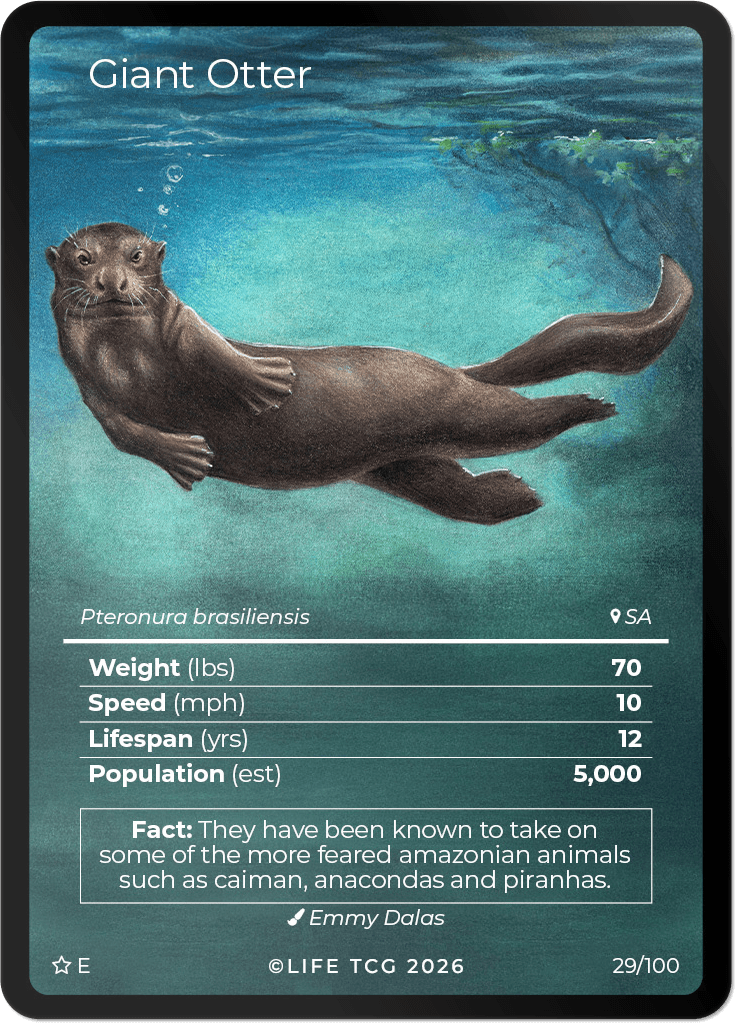 LIFE TCG Mammals Special Edition - Choose Your Card - Holos, Rares, Extended Arts, Full Arts (Extended Art, 29E - Giant Otter 29/100)