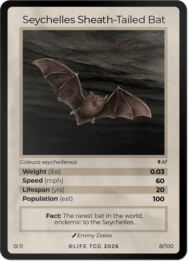 LIFE TCG Mammals Special Edition - Choose Your Card - Holos, Rares, Extended Arts, Full Arts (Rare, 8R - Seychelles Sheath-Tailed Bat 8/100)