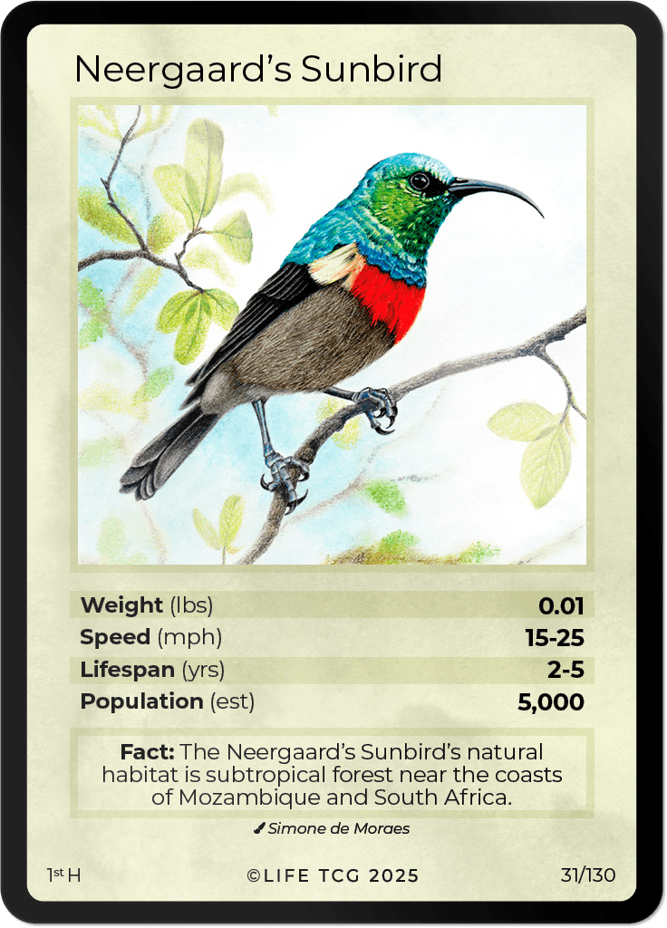 LIFE TCG Birds 1st Edition - Choose Your Card - Holos, Full Arts, Rares (Holo, 31H - Neergaard's Sunbird 31/130)