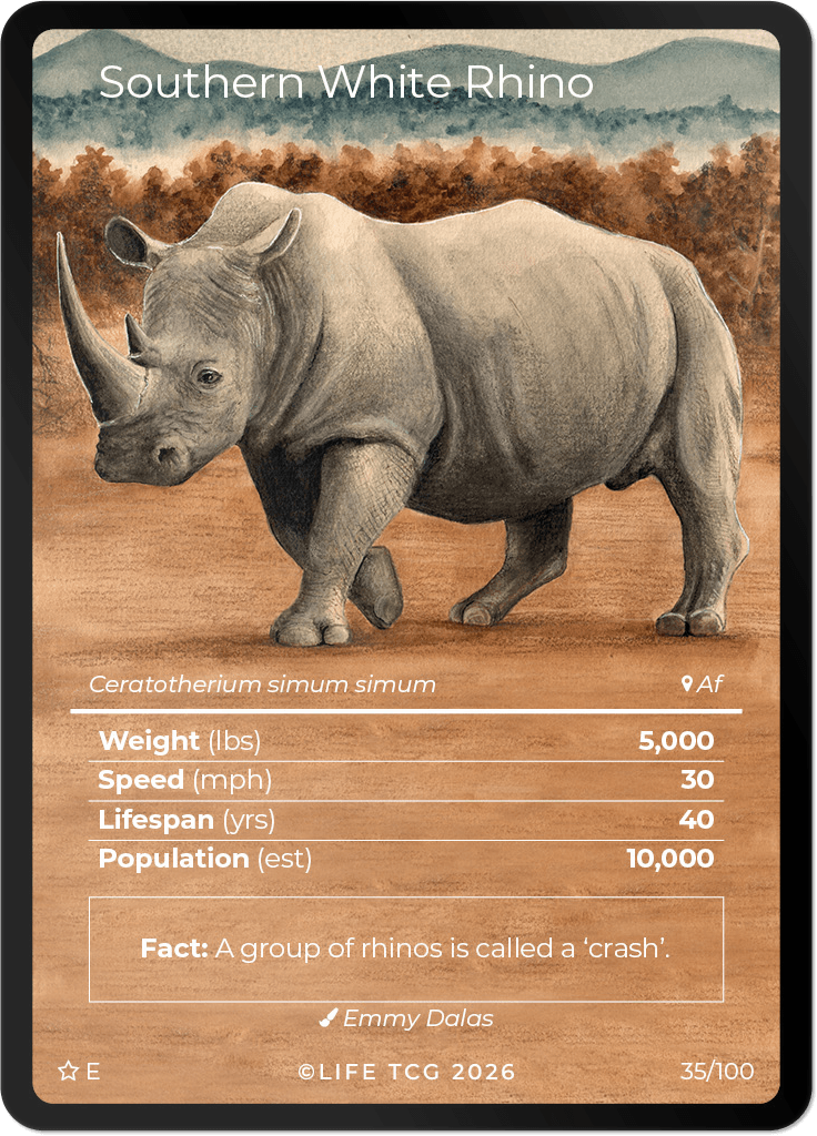 LIFE TCG Mammals Special Edition - Choose Your Card - Holos, Rares, Extended Arts, Full Arts (Extended Art, 35E - Southern White Rhino 35/100)