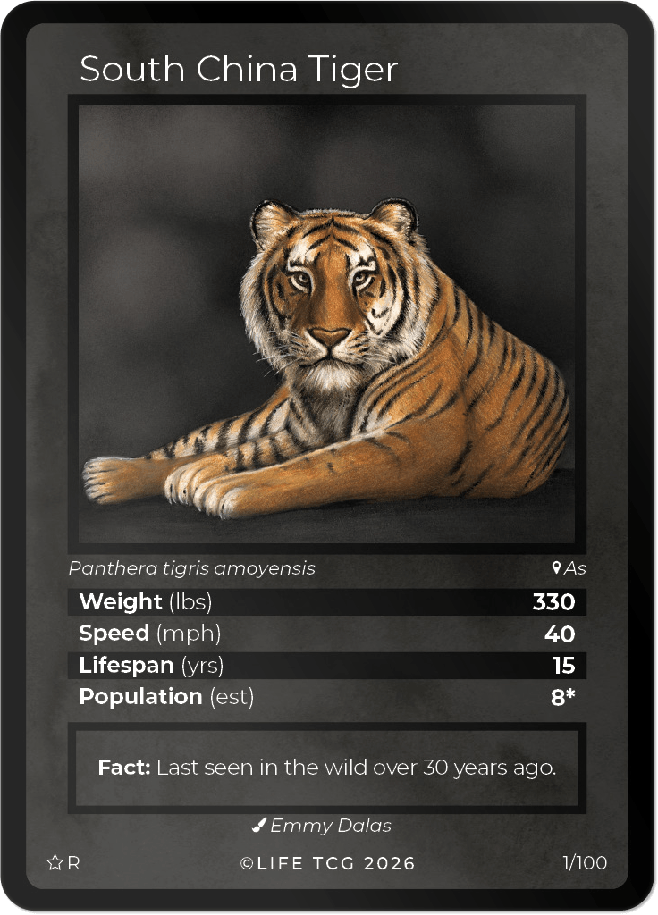 LIFE TCG Mammals Special Edition - Choose Your Card - Holos, Rares, Extended Arts, Full Arts (Rare, 1R - South China Tiger 1/100)