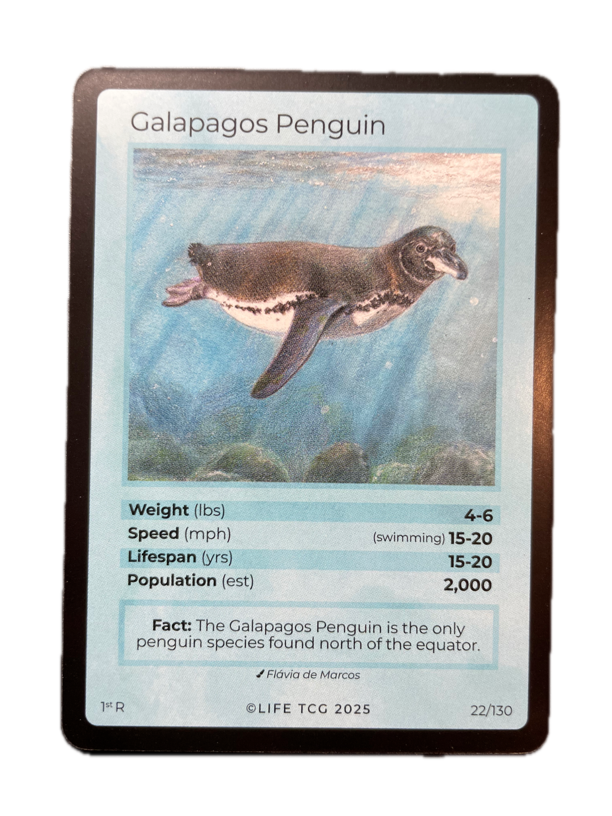 LIFE TCG Birds 1st Edition - Choose Your Card - Holos, Full Arts, Rares (Rare, 22R - Galapagos Penguin 22/130)