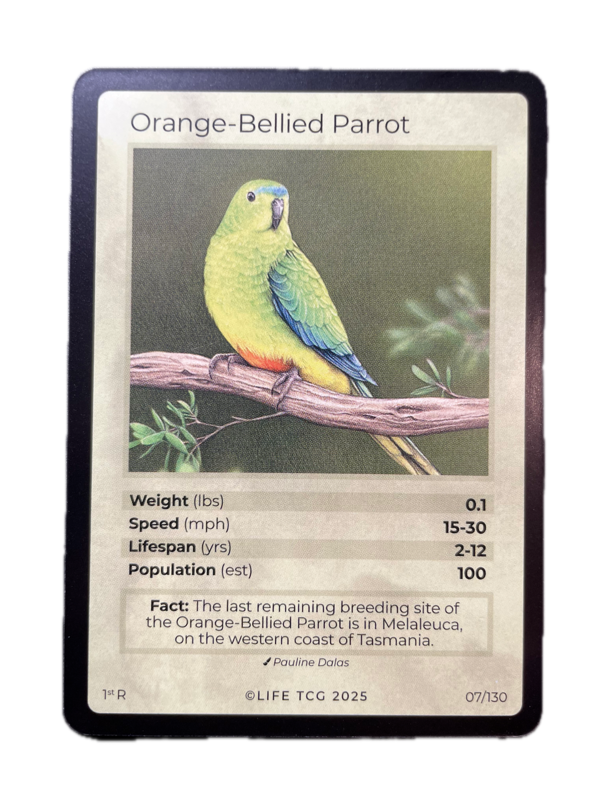 LIFE TCG Birds 1st Edition - Choose Your Card - Holos, Full Arts, Rares (Rare, 7R - Orange-Bellied Parrot 7/130)