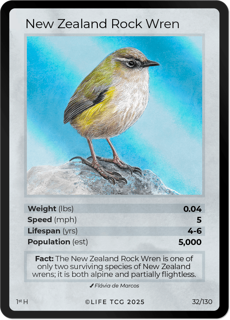 LIFE TCG Birds 1st Edition - Choose Your Card - Holos, Full Arts, Rares (Holo, 32H - New Zealand Rock Wren 32/130)