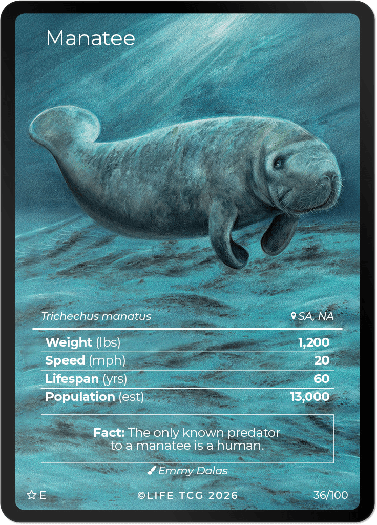LIFE TCG Mammals Special Edition - Choose Your Card - Holos, Rares, Extended Arts, Full Arts (Extended Art, 36E - Manatee 36/100)