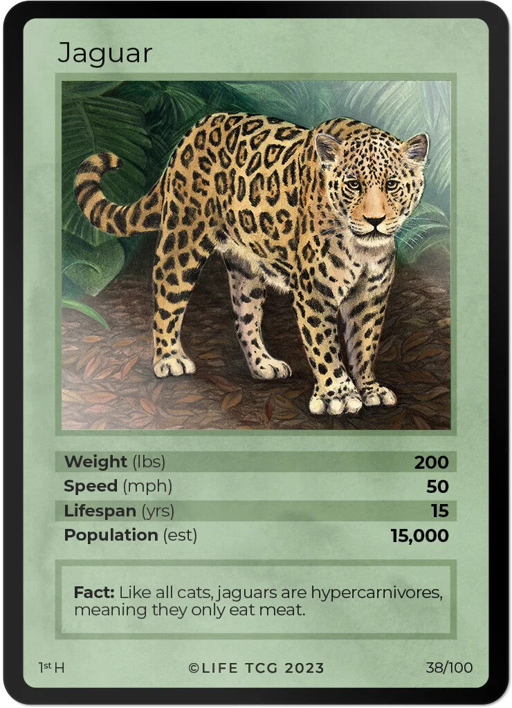 LIFE TCG Mammals 1st Edition - Choose Your Card - Holos #26-53 & Rares #1-25 (Jaguar 38/100 - Holo)