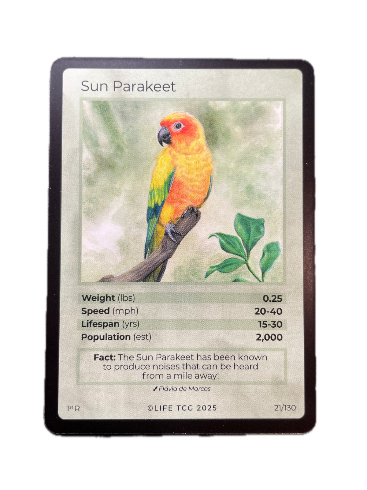 LIFE TCG Birds 1st Edition - Choose Your Card - Holos, Full Arts, Rares (Rare, 21R - Sun Parakeet 21/130)