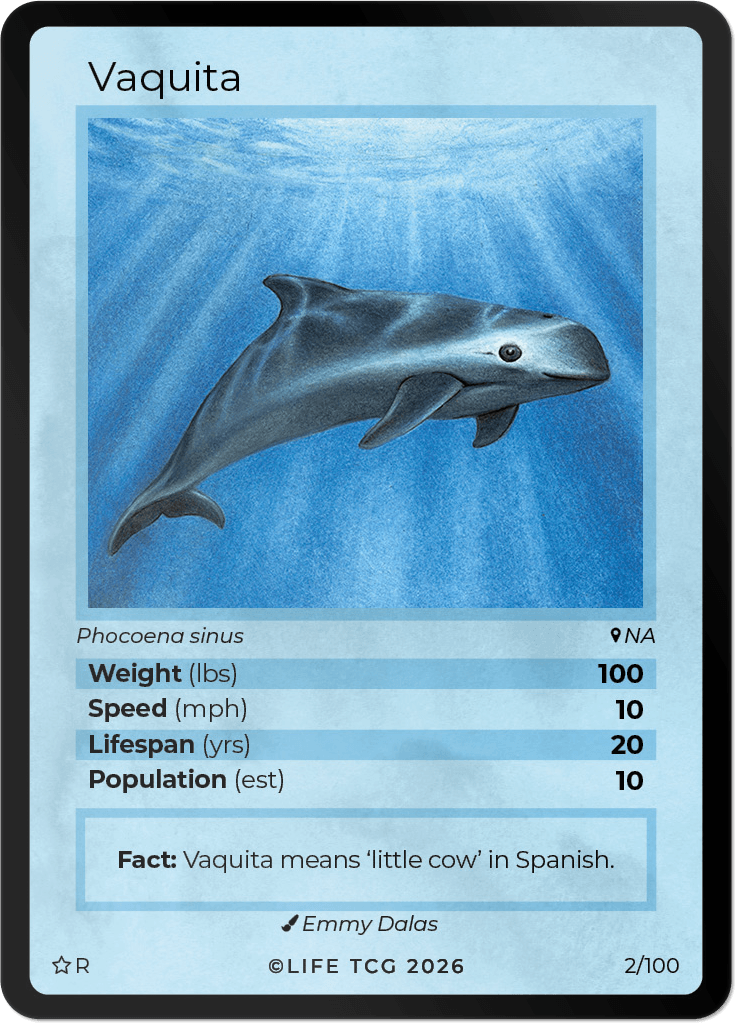 LIFE TCG Mammals Special Edition - Choose Your Card - Holos, Rares, Extended Arts, Full Arts (Rare, 2R - Vaquita 2/100)