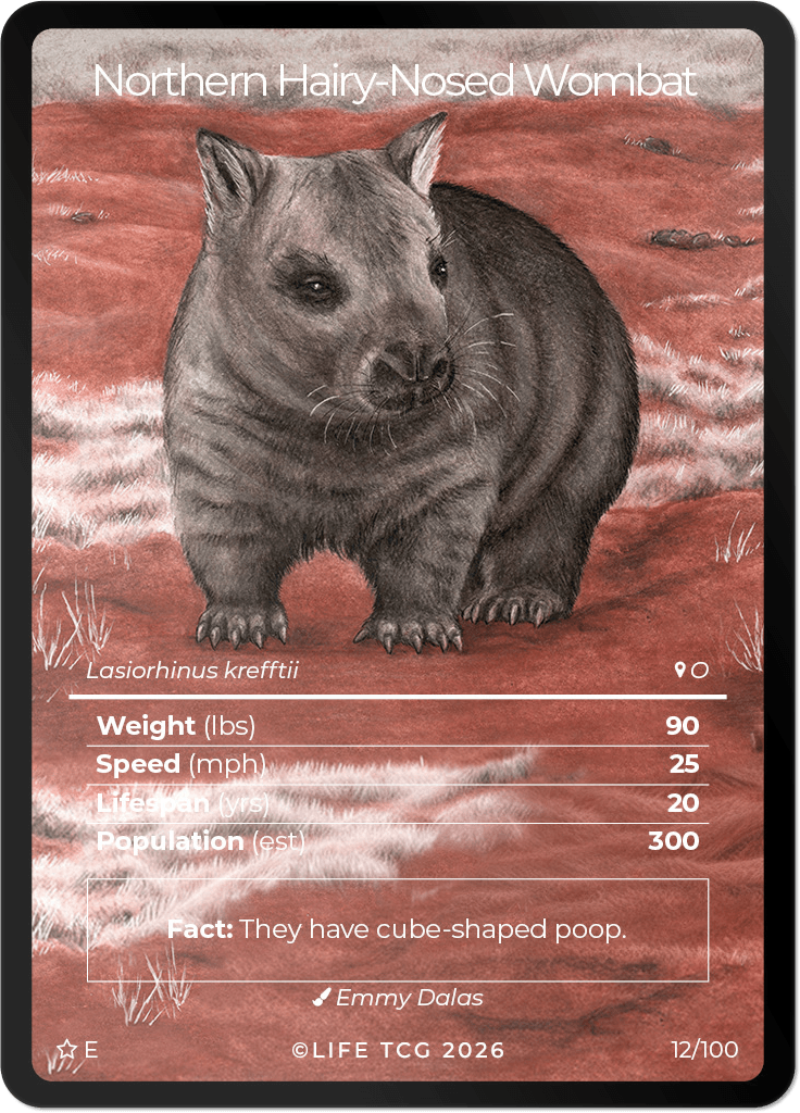 LIFE TCG Mammals Special Edition - Choose Your Card - Holos, Rares, Extended Arts, Full Arts (Extended Art, 12E - Northern Hairy-Nosed Wombat 12/100)