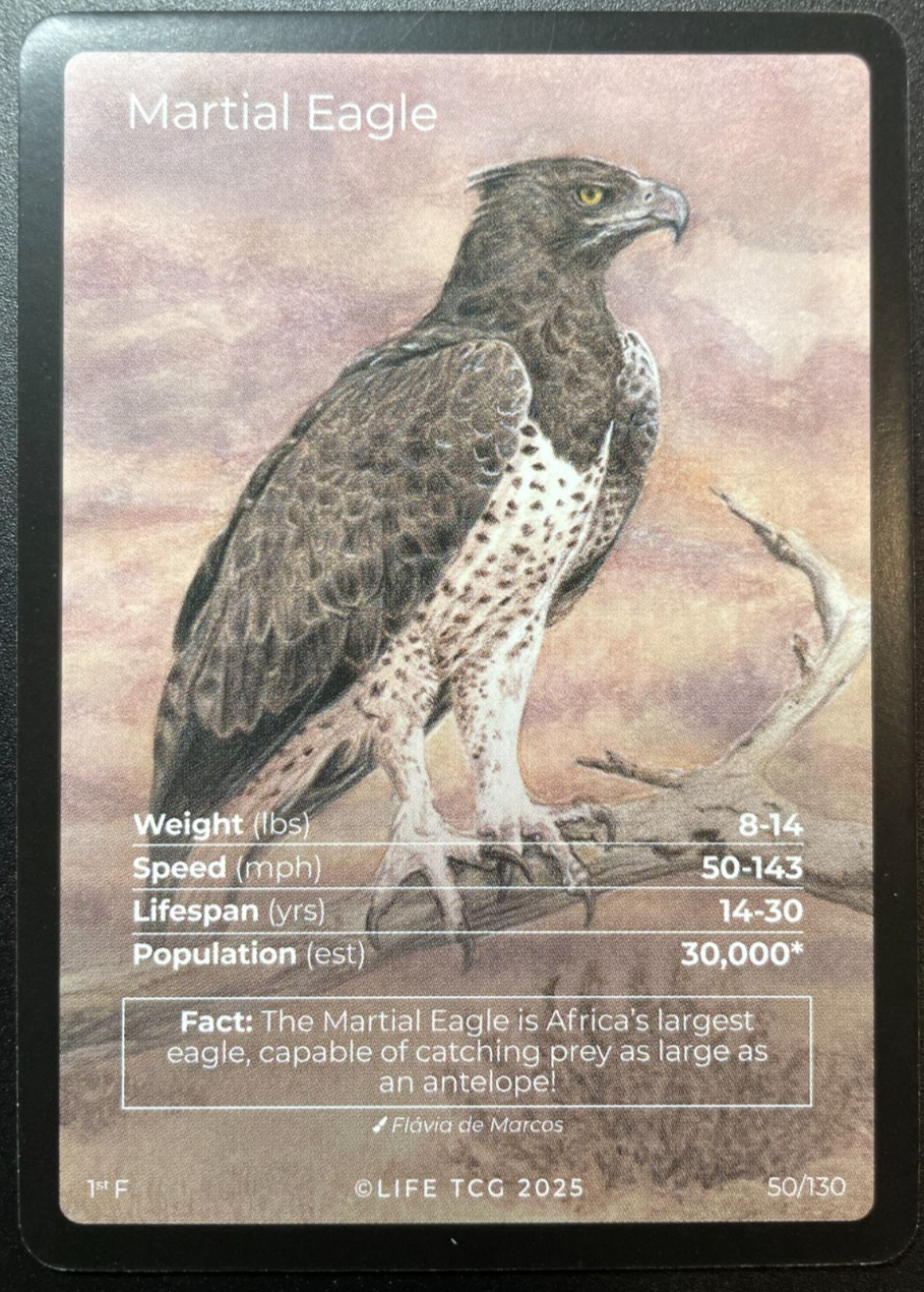 LIFE TCG Birds 1st Edition - Choose Your Card - Holos, Full Arts, Rares (Full Art, 50F - Martial Eagle 50/130)