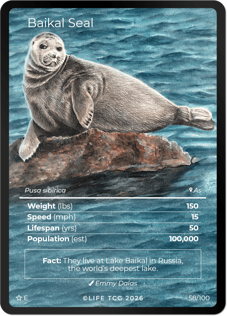 LIFE TCG Mammals Special Edition - Choose Your Card - Holos, Rares, Extended Arts, Full Arts (Extended Art, 58E - Baikal Seal 58/100)