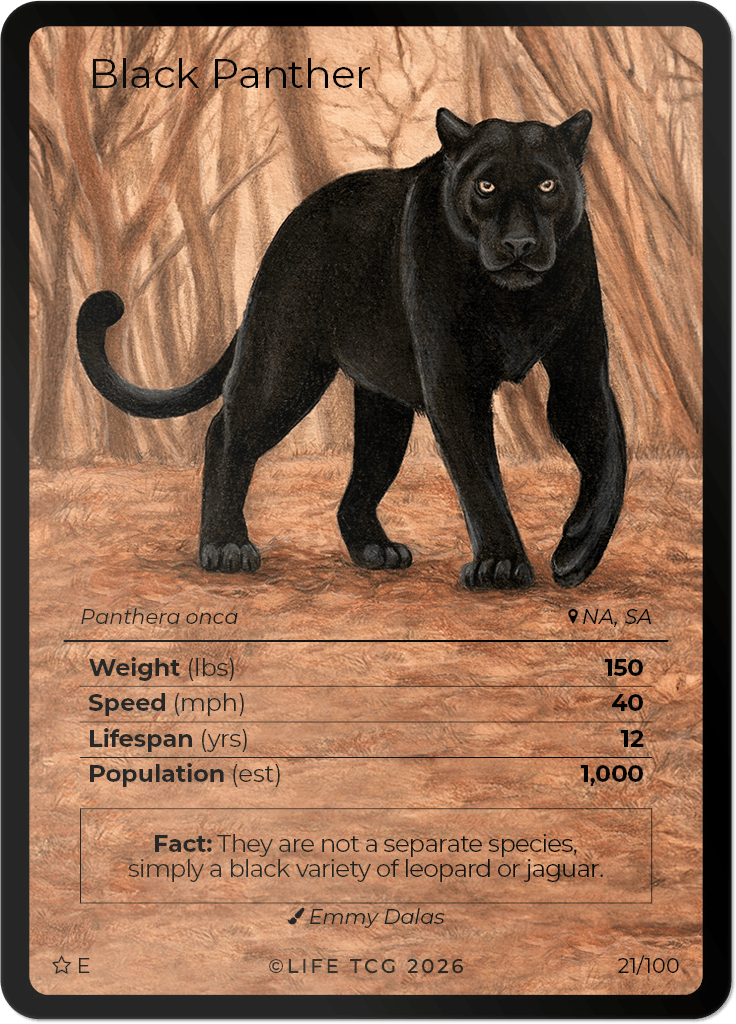 LIFE TCG Mammals Special Edition - Choose Your Card - Holos, Rares, Extended Arts, Full Arts (Extended Art, 21E - Black Panther 21/100)