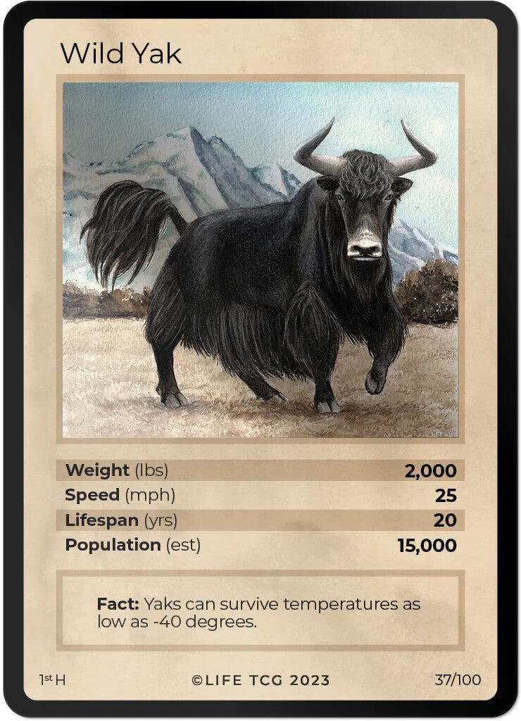 LIFE TCG Mammals 1st Edition - Choose Your Card - Holos #26-53 & Rares #1-25 (Wild Yak 37/100 - Holo)
