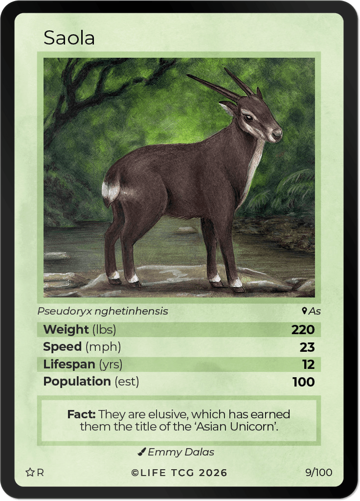 LIFE TCG Mammals Special Edition - Choose Your Card - Holos, Rares, Extended Arts, Full Arts (Rare, 9R - Saola 9/100)