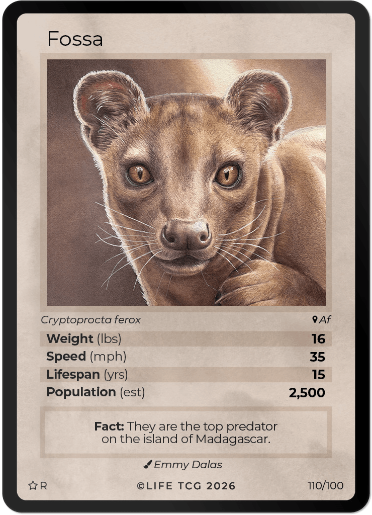 LIFE TCG Mammals Special Edition - Choose Your Card - Holos, Rares, Extended Arts, Full Arts (Rare, 110R - Fossa 110/100)