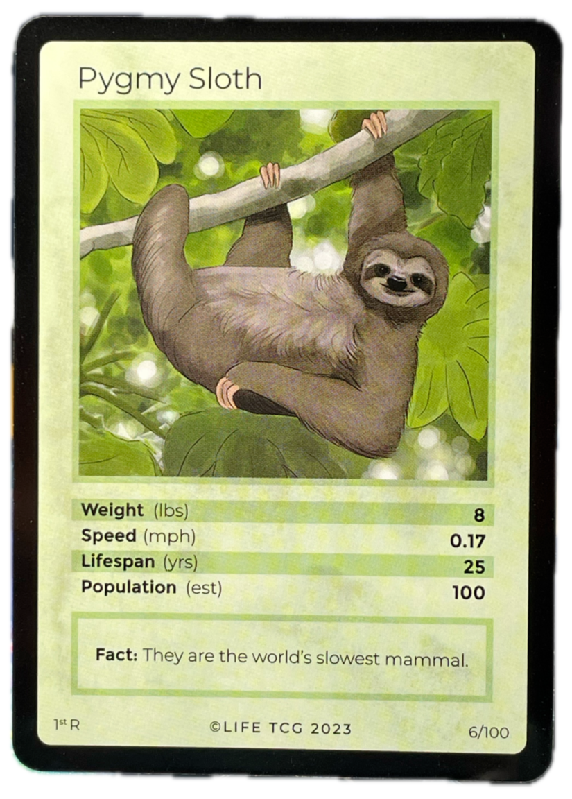 LIFE TCG Mammals 1st Edition - Choose Your Card - Holos #26-53 & Rares #1-25 (Pygmy Three-Toed Sloth 6/100 - Rare)