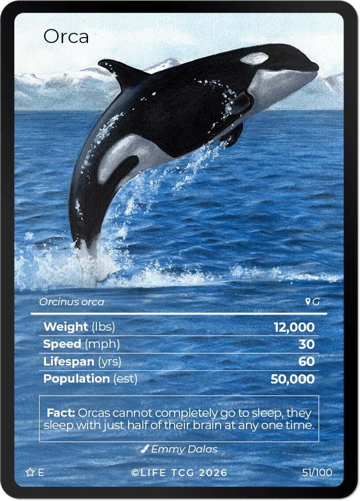 LIFE TCG Mammals Special Edition - Choose Your Card - Holos, Rares, Extended Arts, Full Arts (Extended Art, 51E - Orca 51/100)