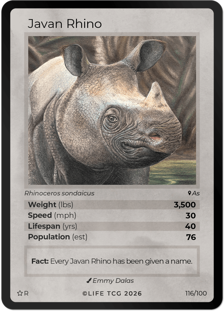 LIFE TCG Mammals Special Edition - Choose Your Card - Holos, Rares, Extended Arts, Full Arts (Rare, 116R - Javan Rhino - 116/100)