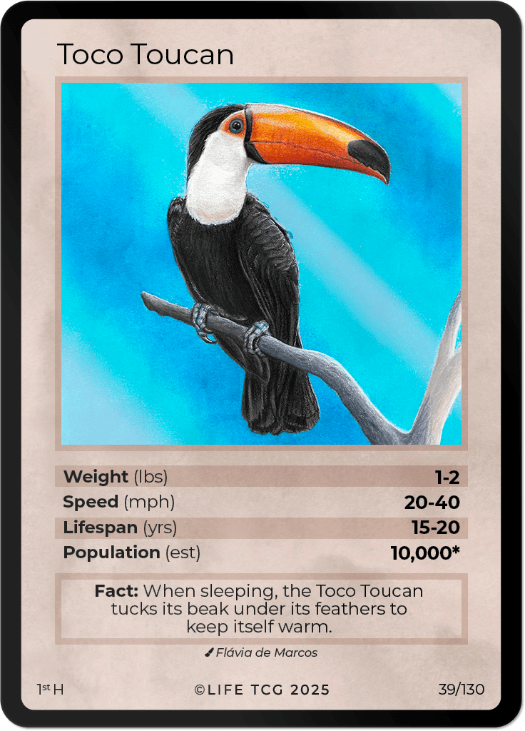 LIFE TCG Birds 1st Edition - Choose Your Card - Holos, Full Arts, Rares (Holo, 39H - Toco Toucan 39/130)