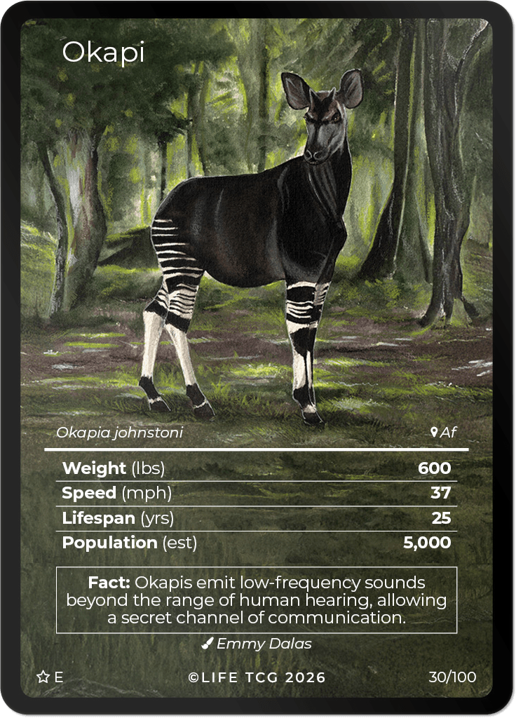 LIFE TCG Mammals Special Edition - Choose Your Card - Holos, Rares, Extended Arts, Full Arts (Extended Art, 30E - Okapi 30/100)