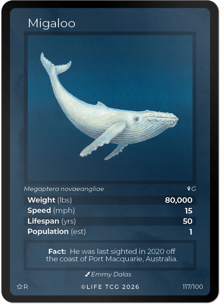 LIFE TCG Mammals Special Edition - Choose Your Card - Holos, Rares, Extended Arts, Full Arts (Rare, 117R - Migaloo 117/100)