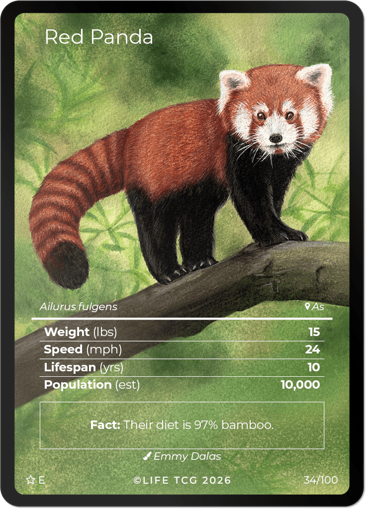 LIFE TCG Mammals Special Edition - Choose Your Card - Holos, Rares, Extended Arts, Full Arts (Extended Art, 34E - Red Panda 34/100)