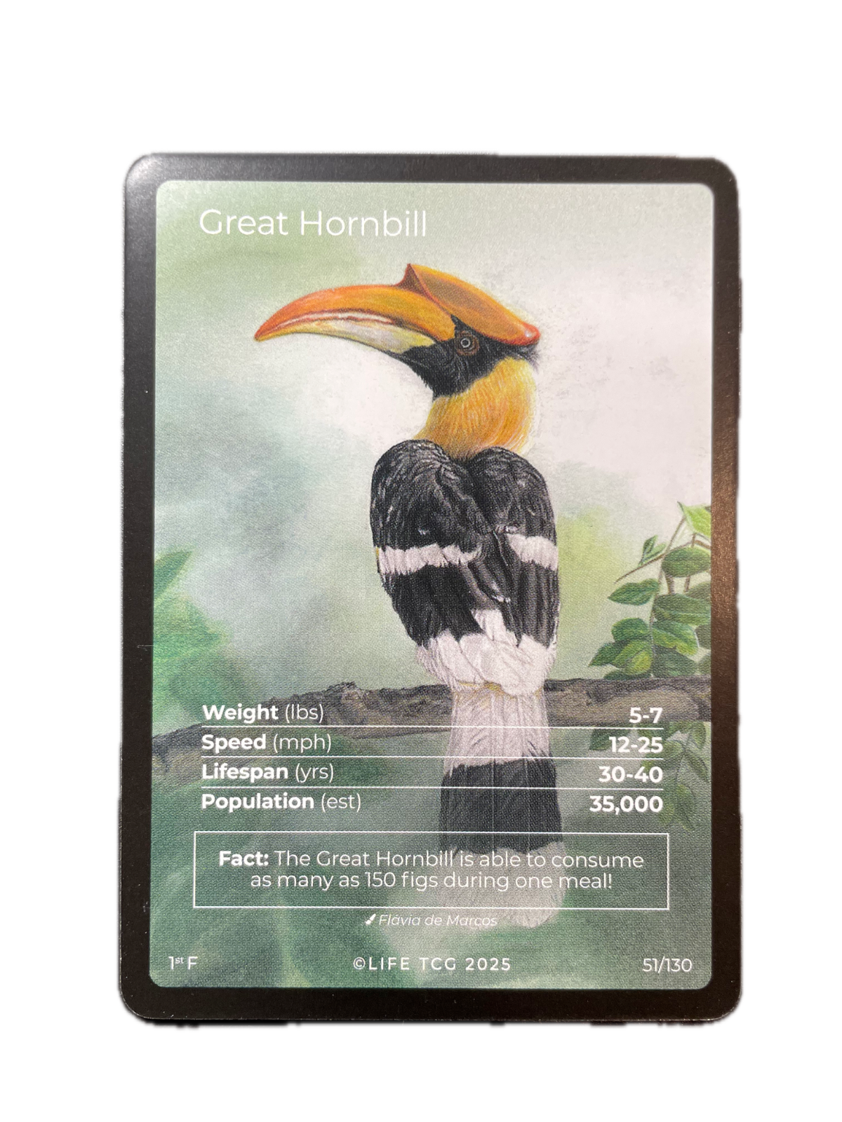 LIFE TCG Birds 1st Edition - Choose Your Card - Holos, Full Arts, Rares (Full Art, 51F - Great Hornbill 51/130)