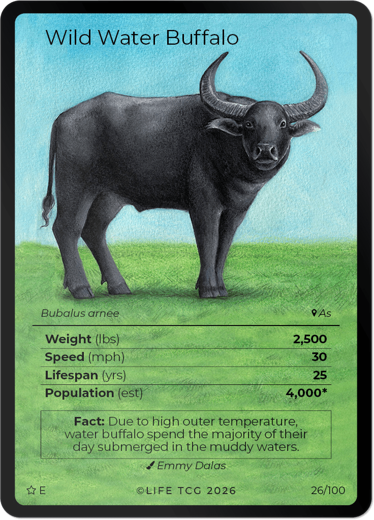 LIFE TCG Mammals Special Edition - Choose Your Card - Holos, Rares, Extended Arts, Full Arts (Extended Art, 26E - Wild Water Buffalo 26/100)