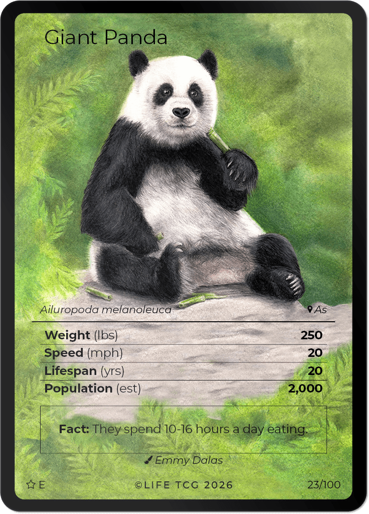 LIFE TCG Mammals Special Edition - Choose Your Card - Holos, Rares, Extended Arts, Full Arts (Extended Art, 23E - Giant Panda* 23/100)