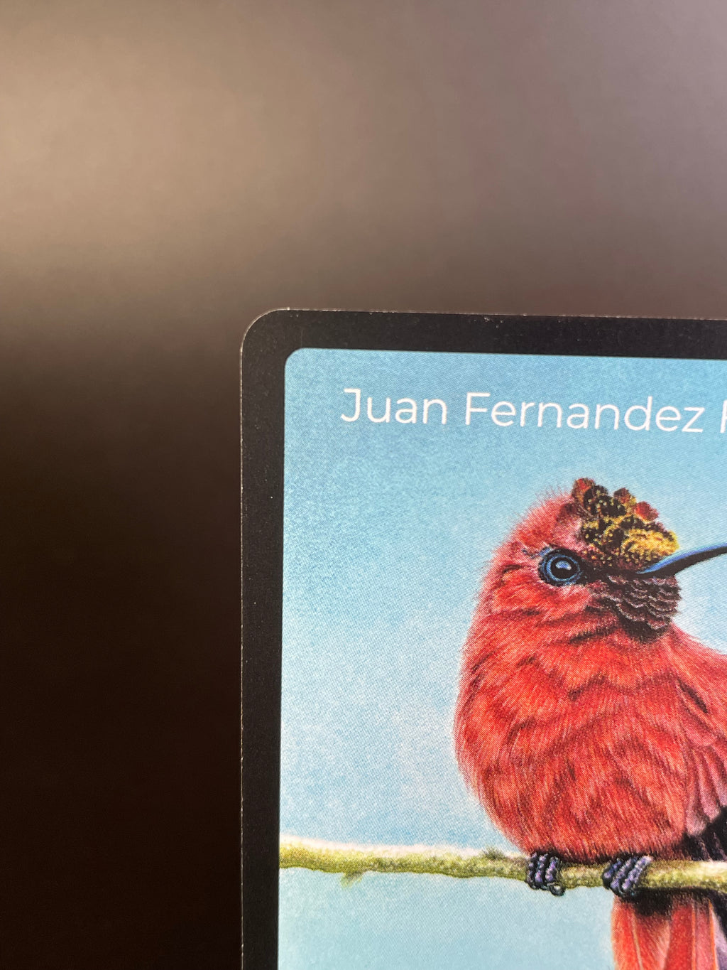 Juan Fernandez Firecrown — Birds Full Art #25/130 | LIFE TCG | 1st Edition (Pop: 400)
