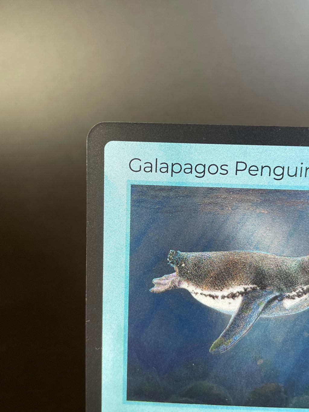 Galapagos Penguin — Birds Holo #22/130 | LIFE TCG | 1st Edition (Pop: 2,000)