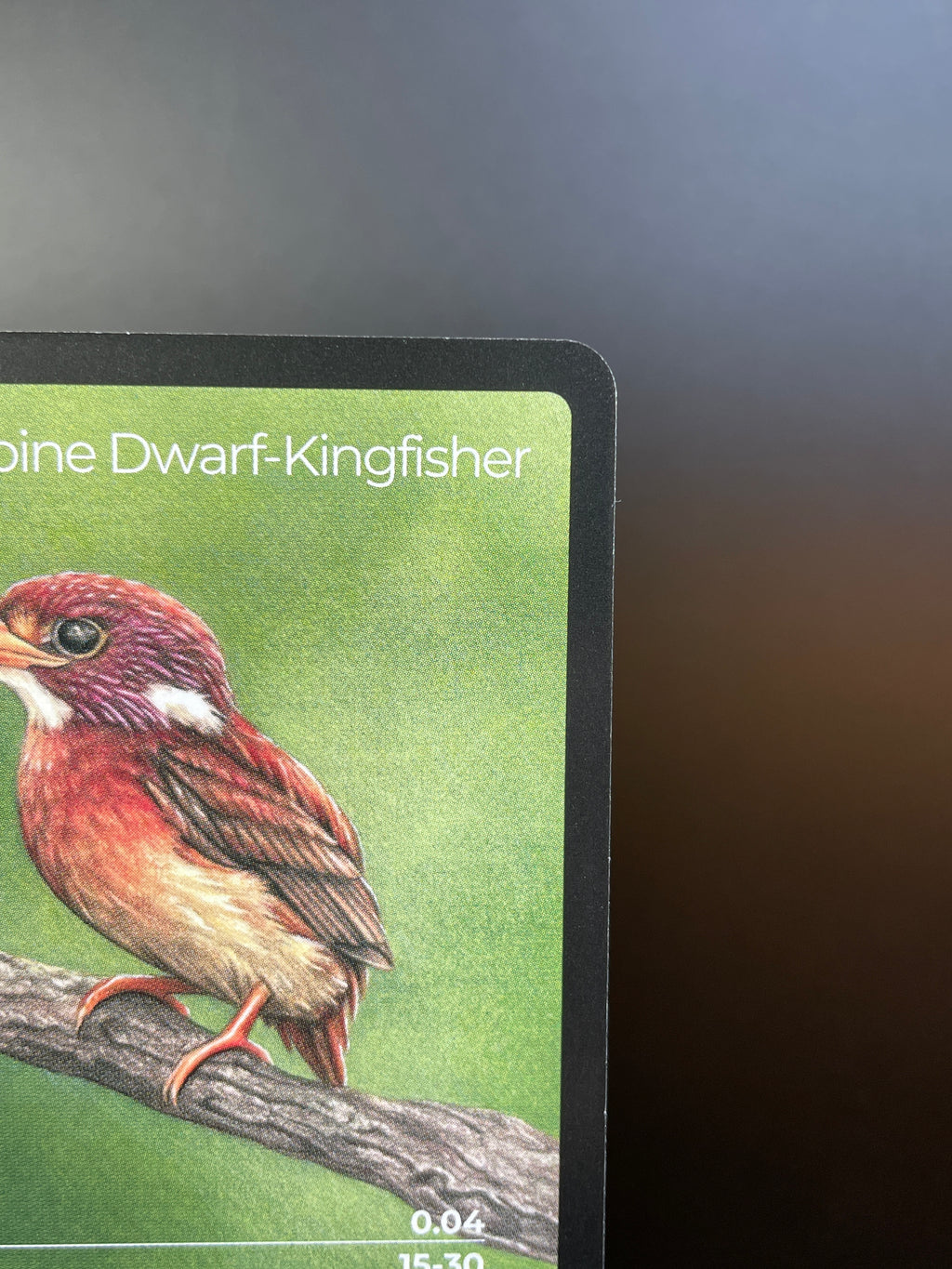 South Philippine Dwarf-Kingfisher — Birds Full Art #34/130 | LIFE TCG | 1st Edition (Pop: 600)