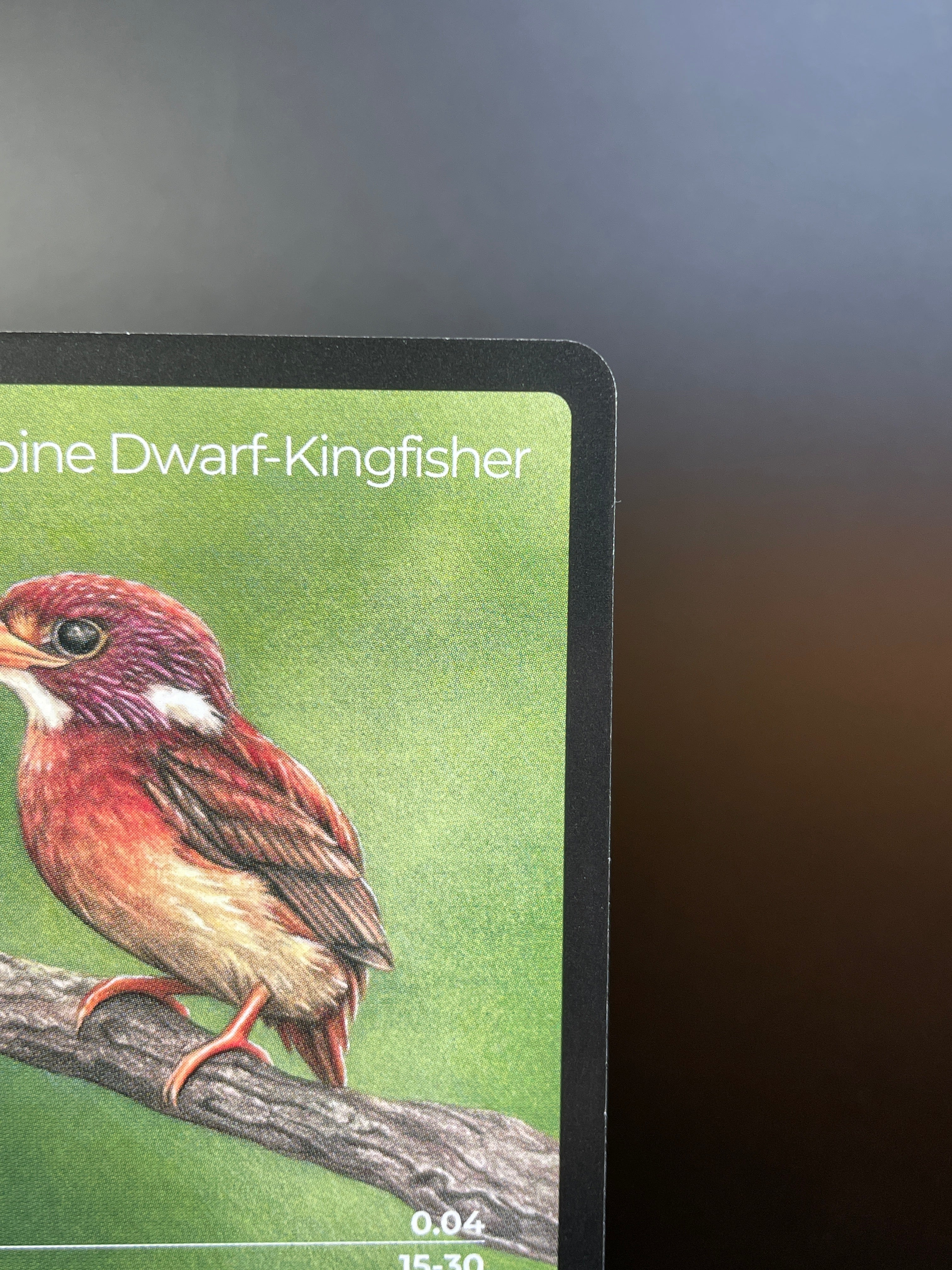 South Philippine Dwarf-Kingfisher — Birds Full Art #34/130 | LIFE TCG | 1st Edition (Pop: 600)