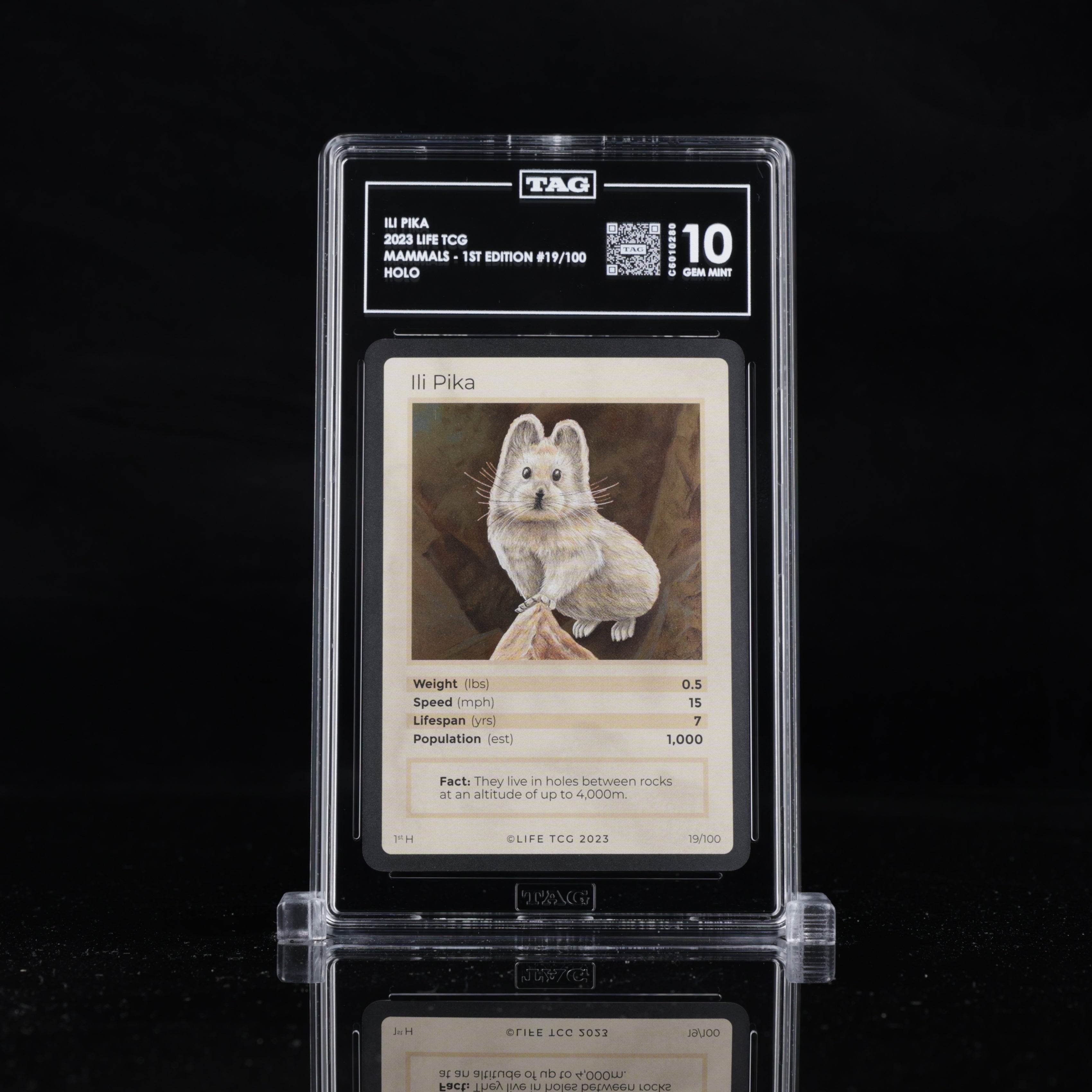 Ili Pika - TAG 10 GEM MINT | Life TCG | Mammals 1st Edition | Holo