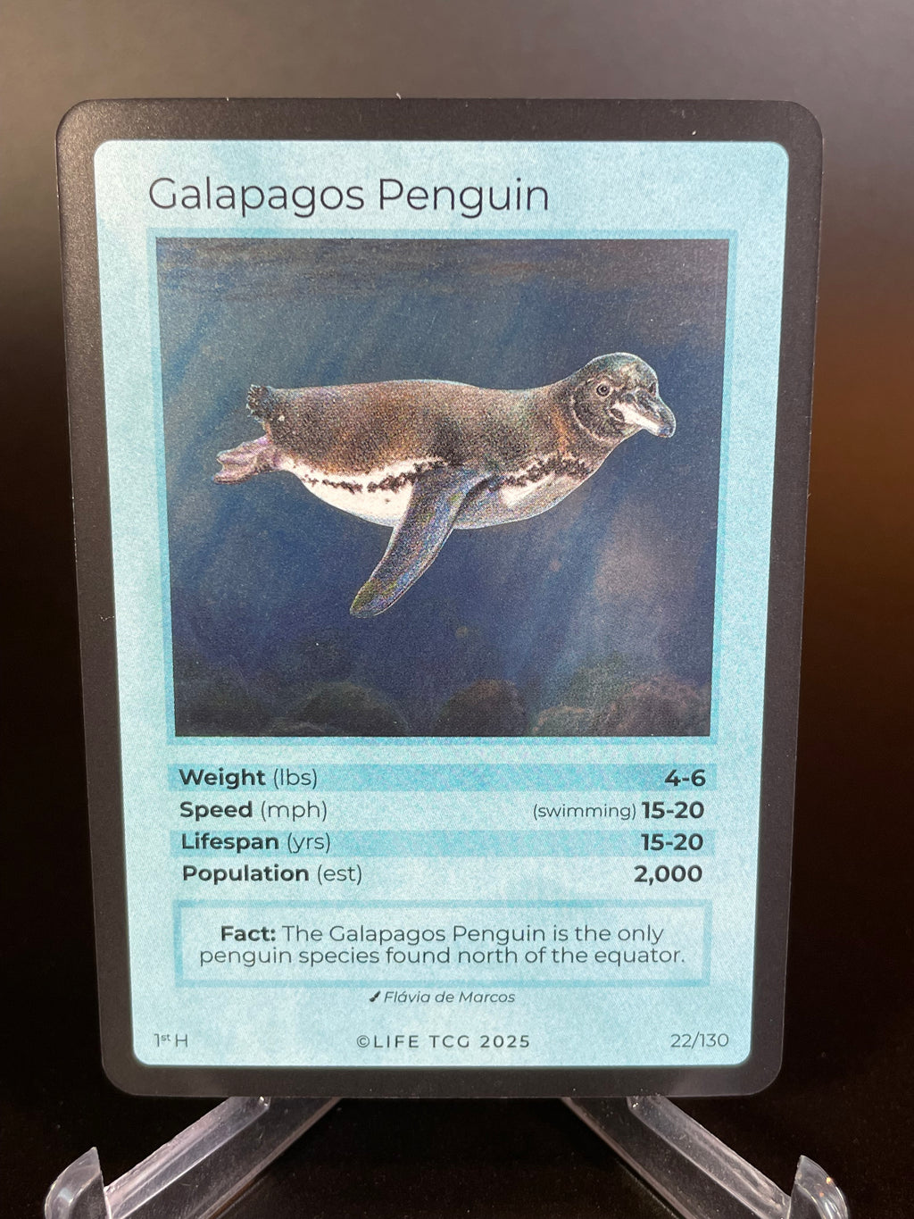 Galapagos Penguin — Birds Holo #22/130 | LIFE TCG | 1st Edition (Pop: 2,000)